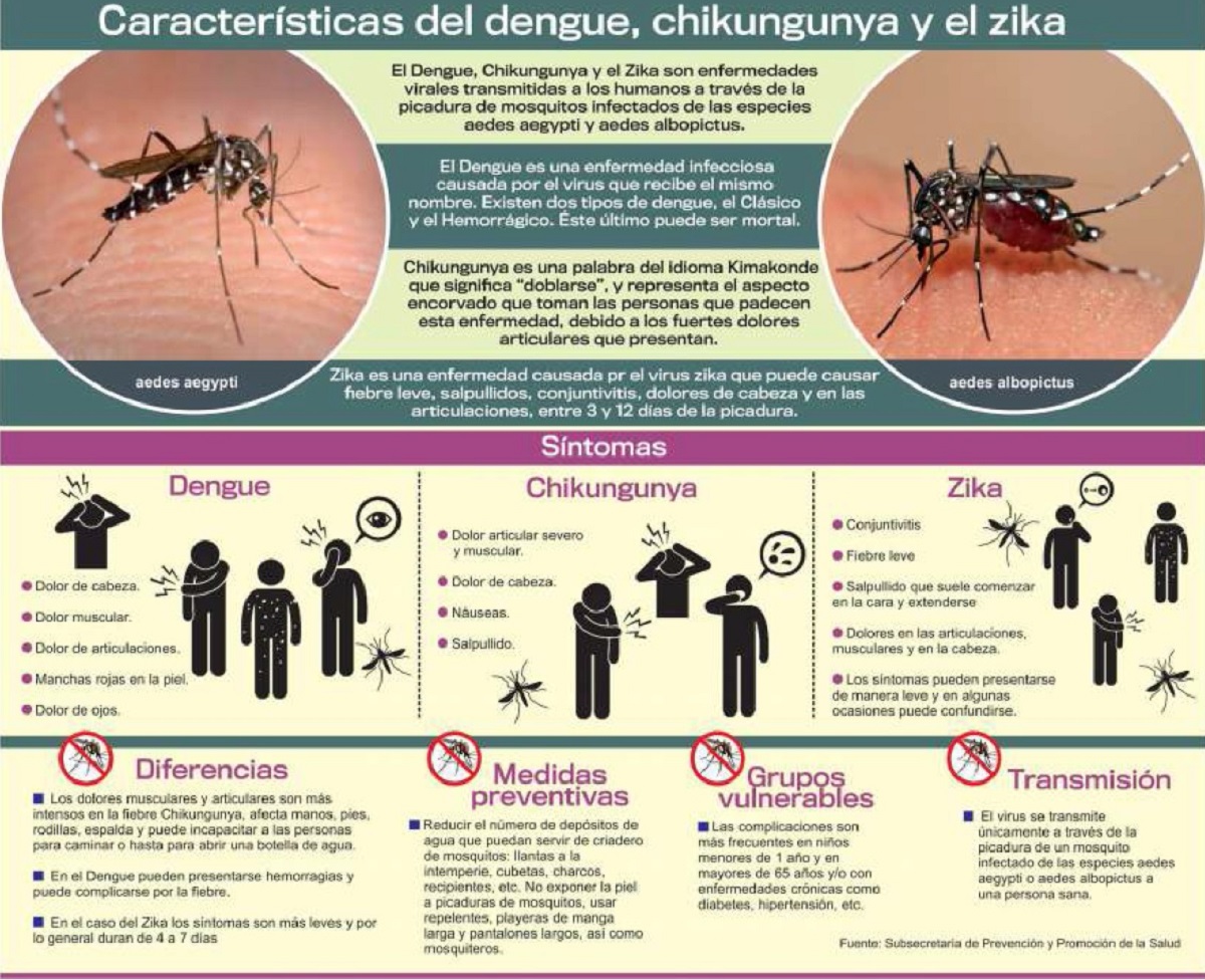 Resultado de imagen para zika dengue chikungunya