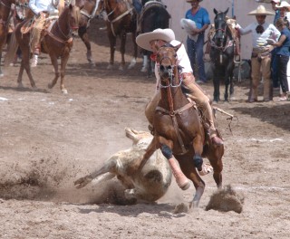 Charreadas+De+Zacatecas Charreadas De Zacatecas http://www.elsiglodetorreon.com.mx/noticia ...