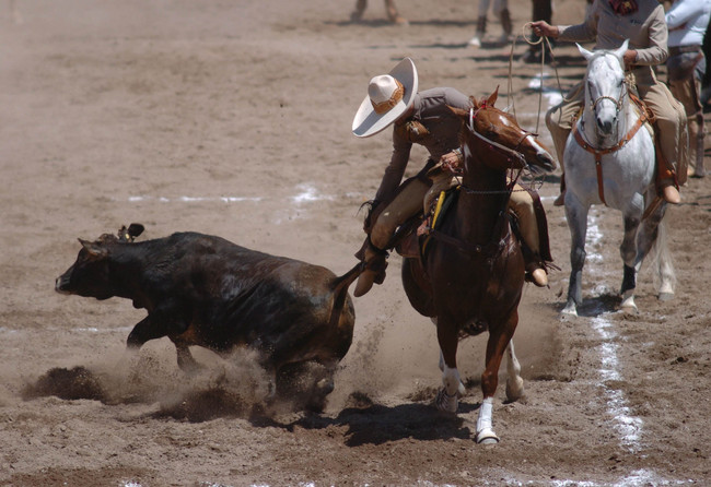 Charreadas+De+Zacatecas Charreadas De Zacatecas http://90.elsiglodetorreon.com.mx/noticia ...