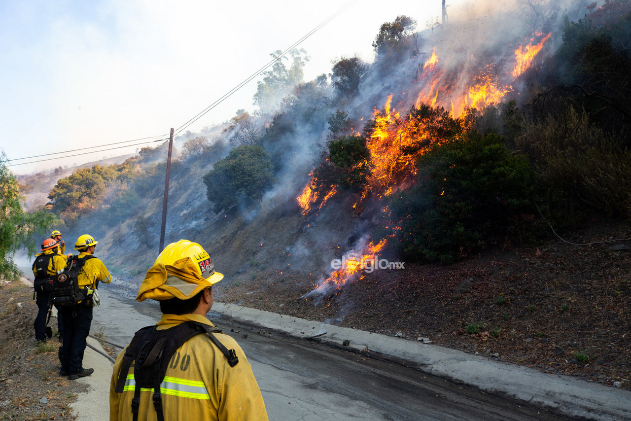 Burning video. La Fire. Fire working.