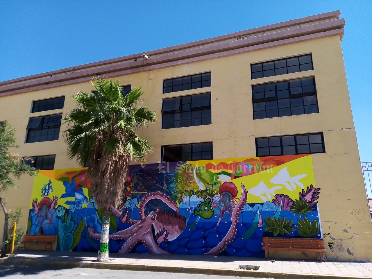 Artistas urbanos pintan murales en la Antigua Harinera, edificio de Torreón