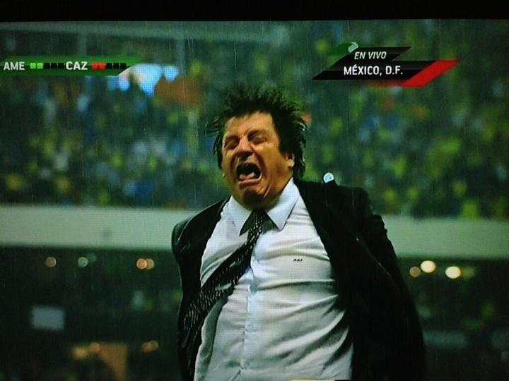 FOTO PIOJO foto piojo: