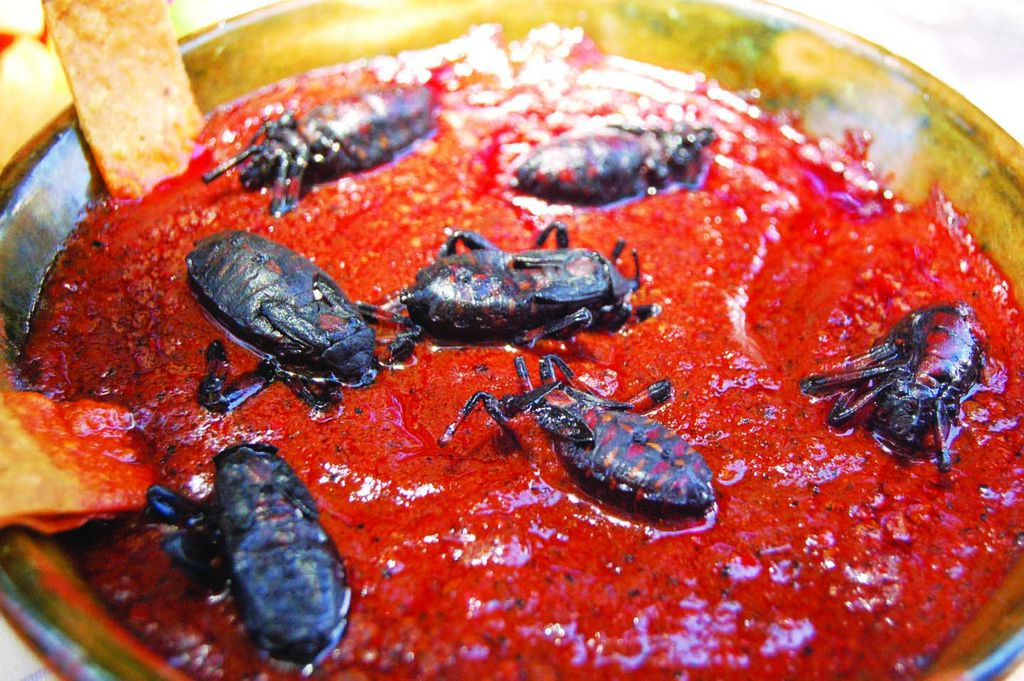 57 Recetas De Cocina Fciles Y Rpidas 57 Recetas De Cocina Fciles Y Rpidas