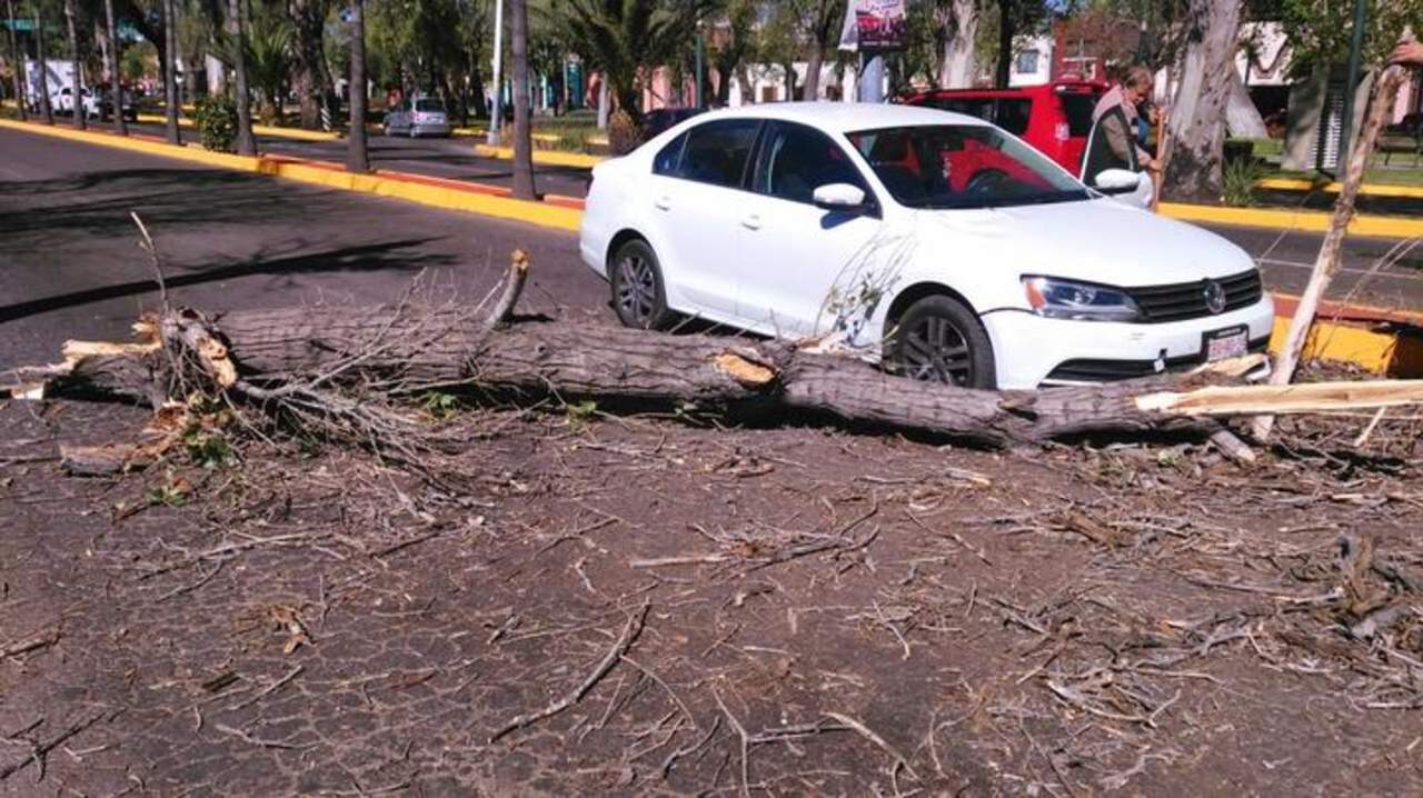 Vientos comienzan a ocasionar estragos en Durango - El Siglo de Torreón