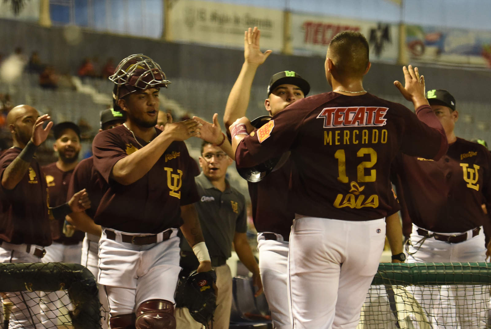 La Laguna à nouveau à court de baseball professionnel